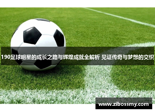 190足球明星的成长之路与辉煌成就全解析 见证传奇与梦想的交织