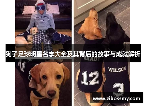 狗子足球明星名字大全及其背后的故事与成就解析