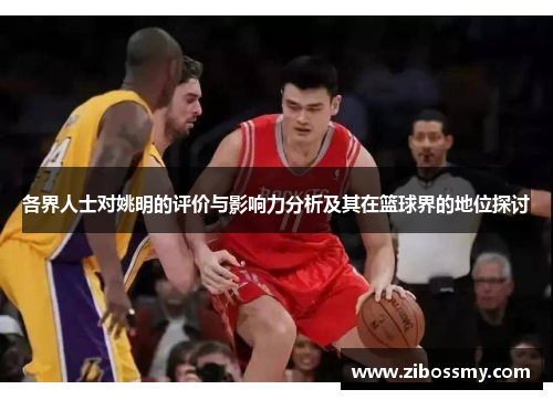 各界人士对姚明的评价与影响力分析及其在篮球界的地位探讨