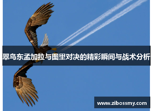翠鸟东孟加拉与图里对决的精彩瞬间与战术分析